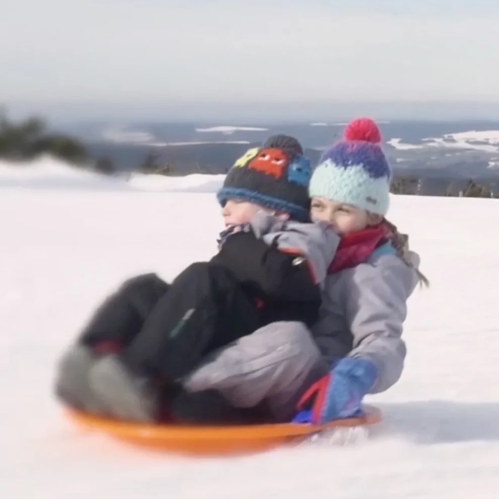 Fun UFO Sled - Image 3