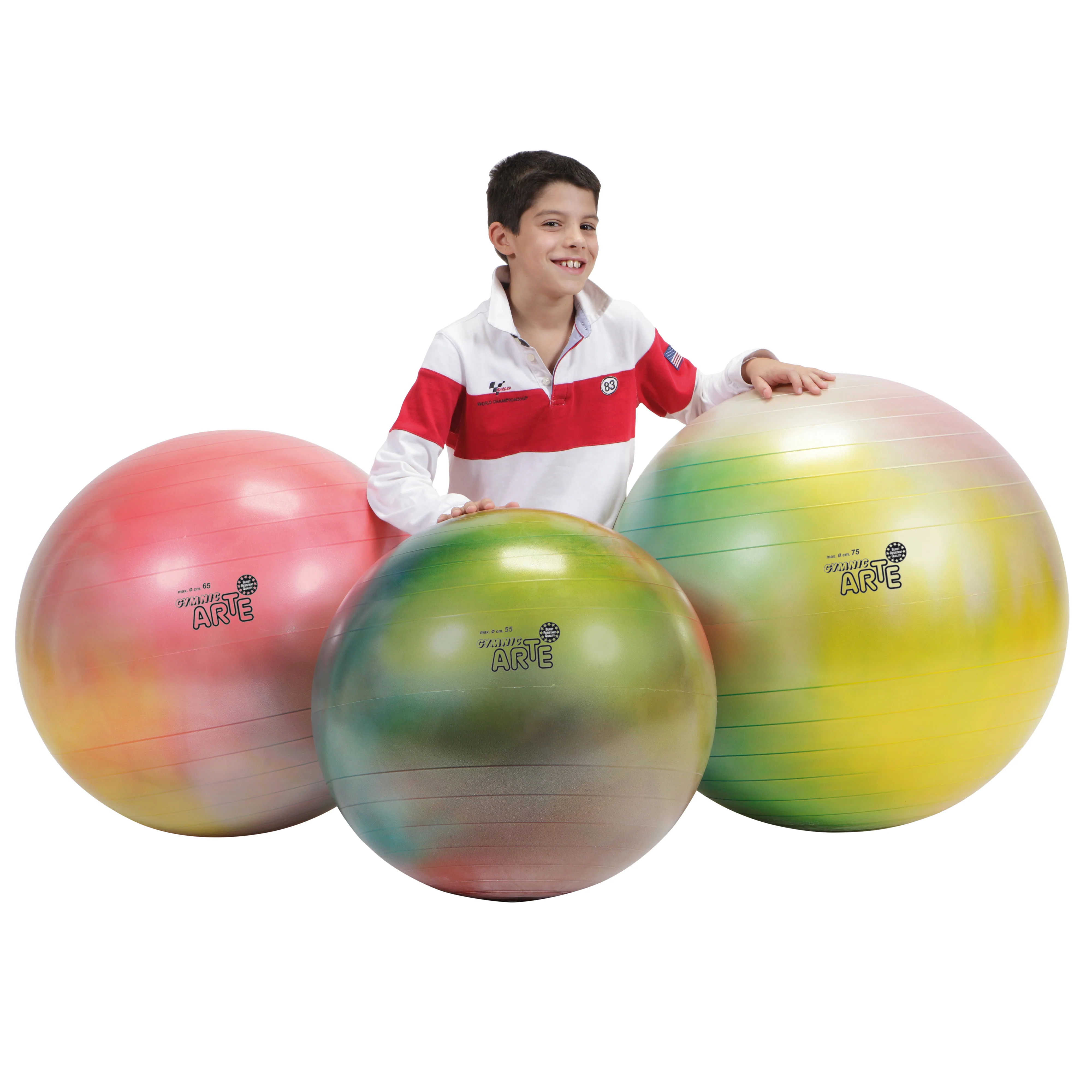 Gymnic Arte BRQ Physiotherapy &amp; Fitness Balls