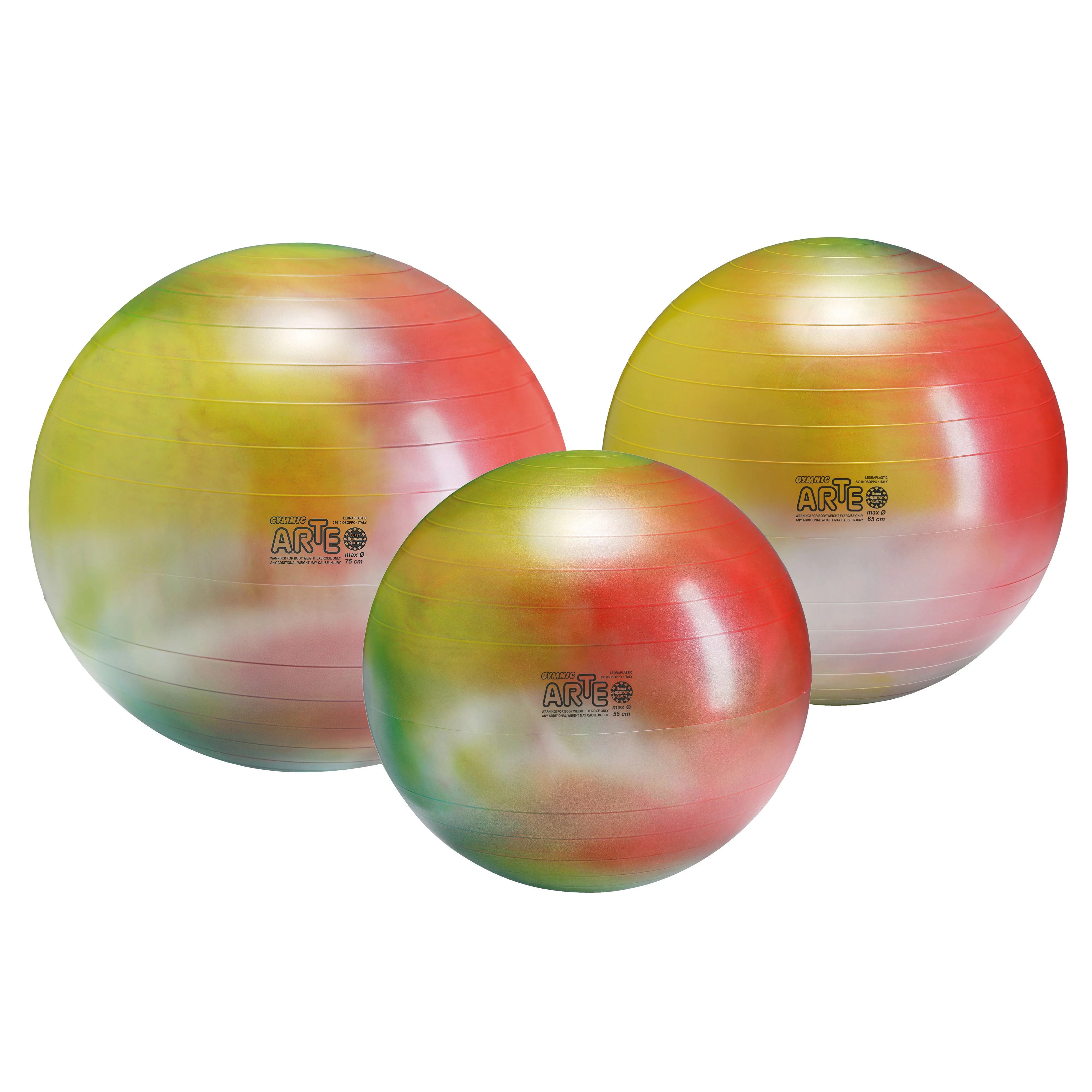 Gymnic Arte BRQ Physiotherapy &amp; Fitness Balls - Image 7