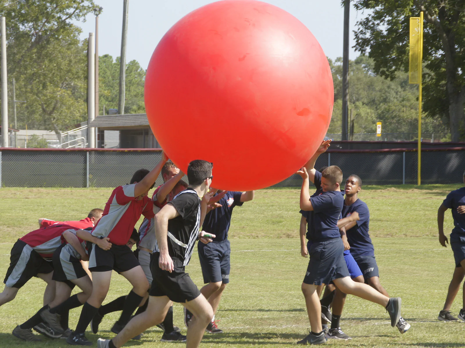 Gymnic Megaballs - Image 3
