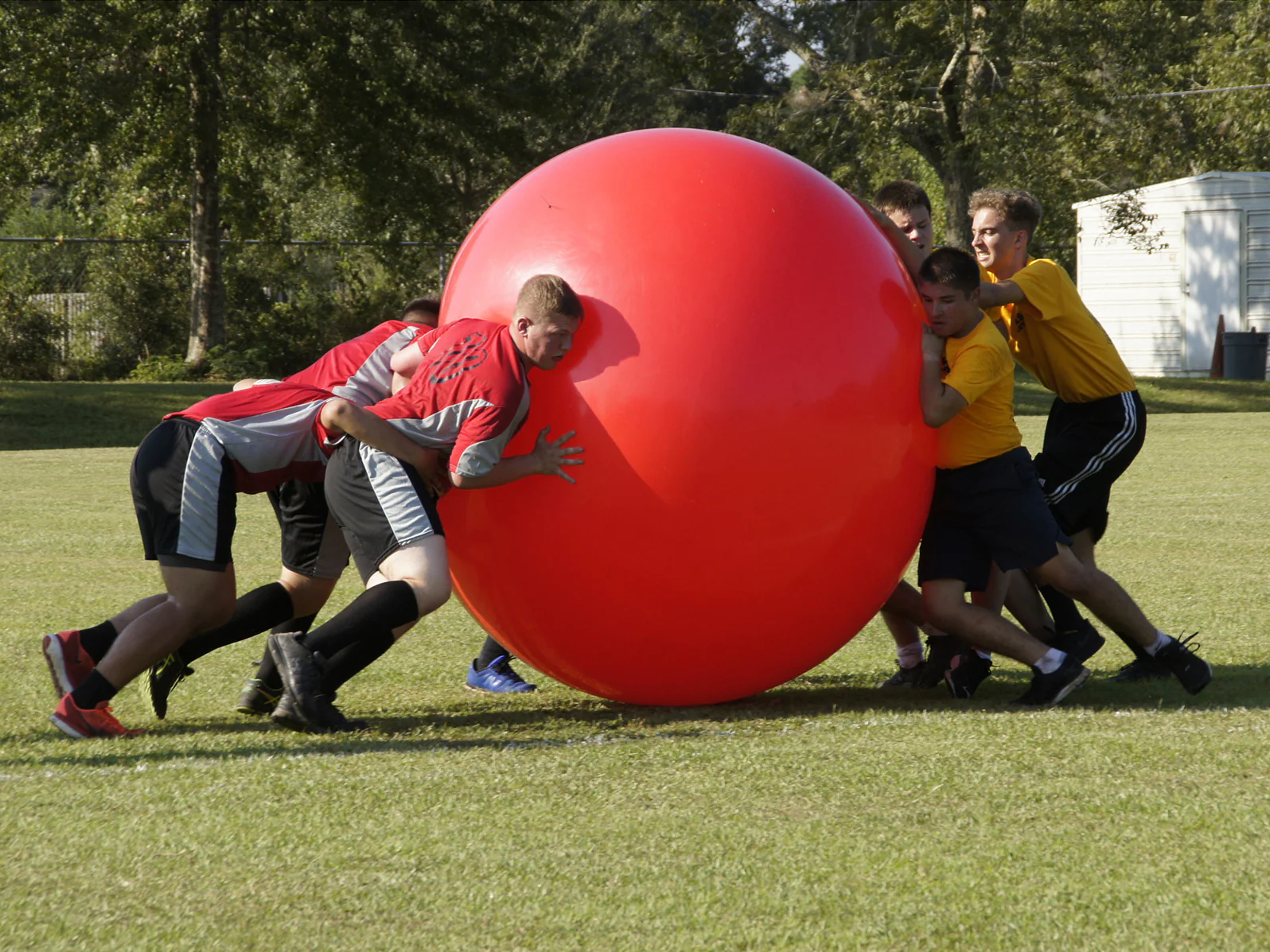 Gymnic Megaballs - Image 6