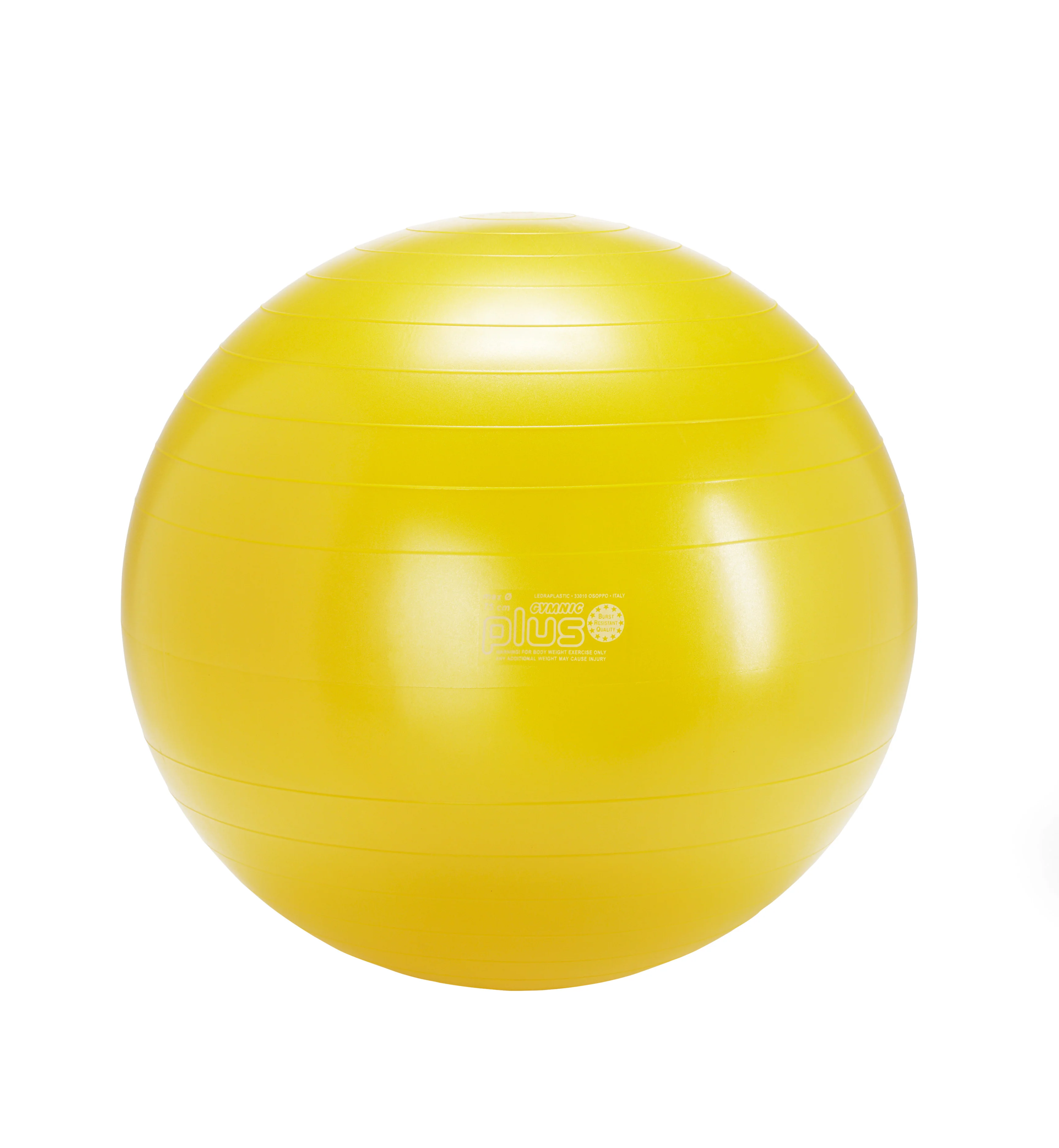 Gymnic Plus BRQ Physiotherapy Balls - Image 11