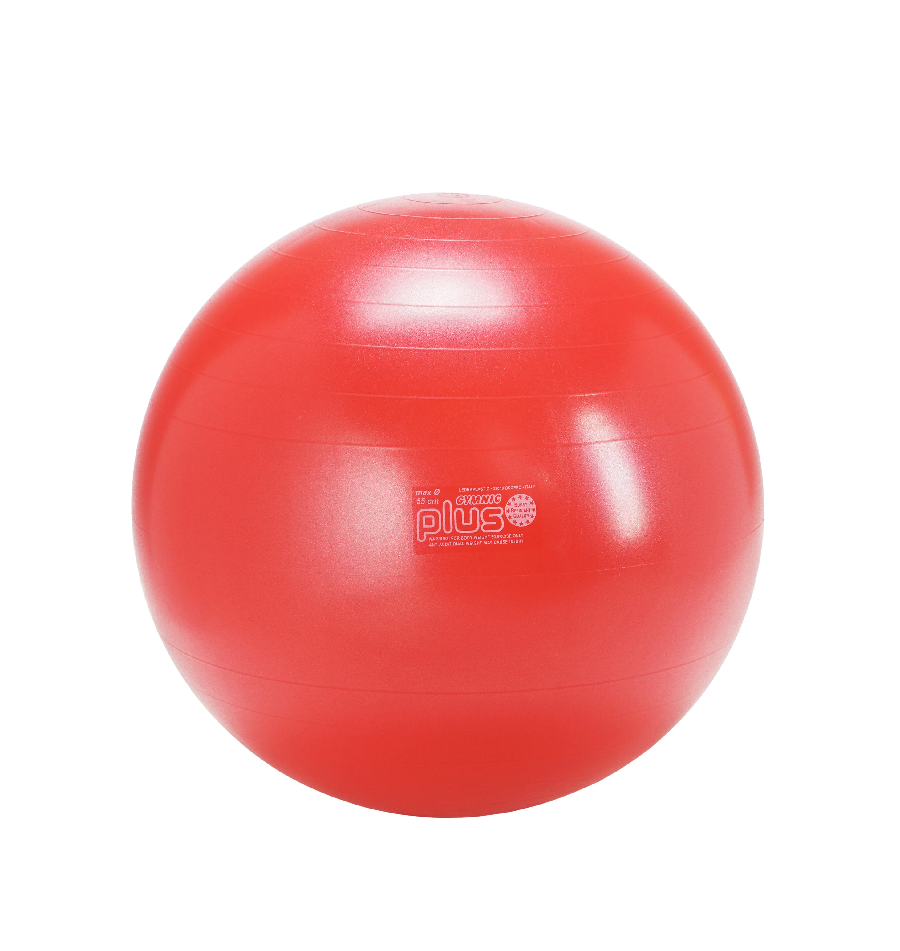 Gymnic Plus BRQ Physiotherapy Balls - Image 3