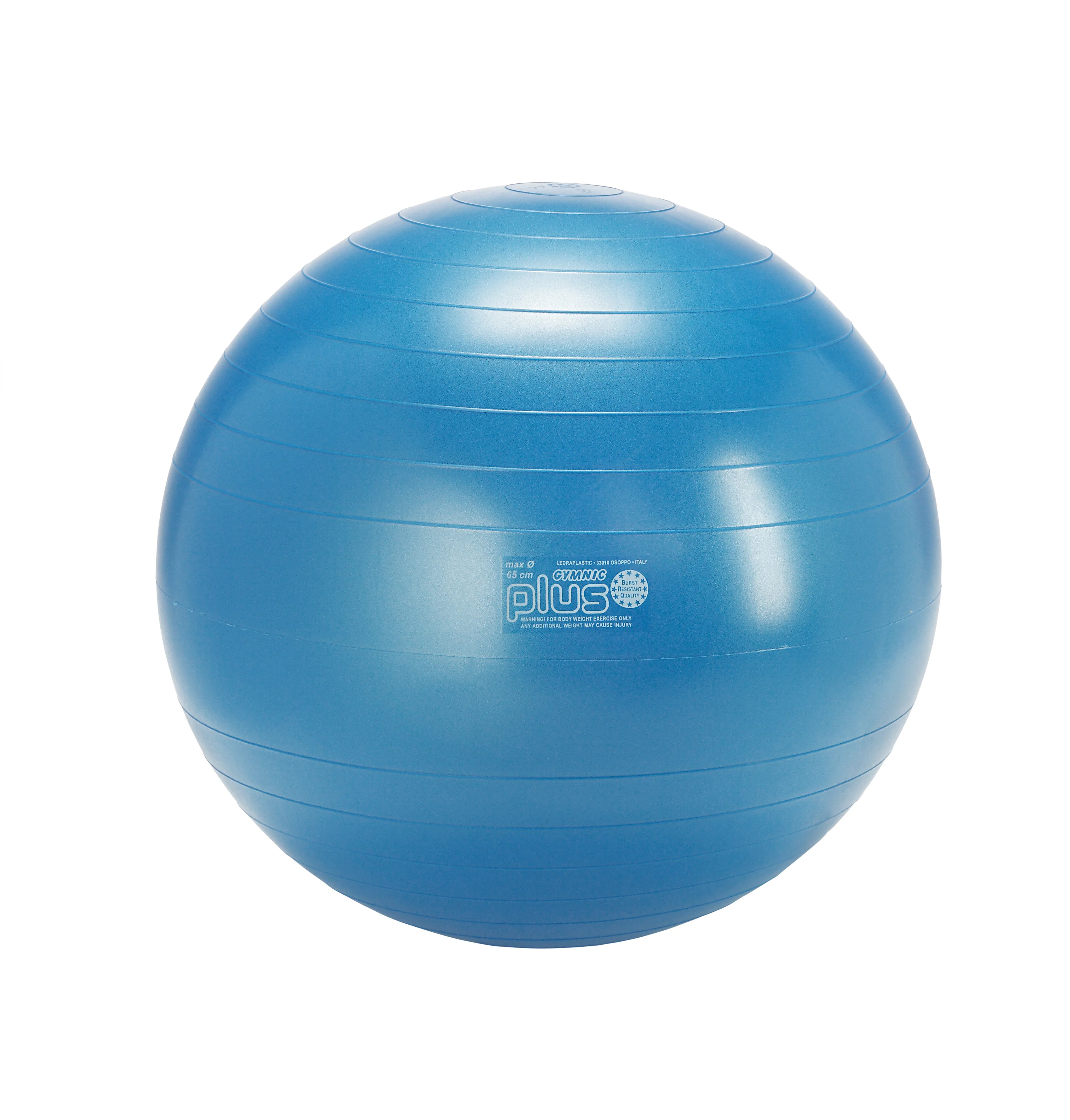 Gymnic Plus BRQ Physiotherapy Balls - Image 5