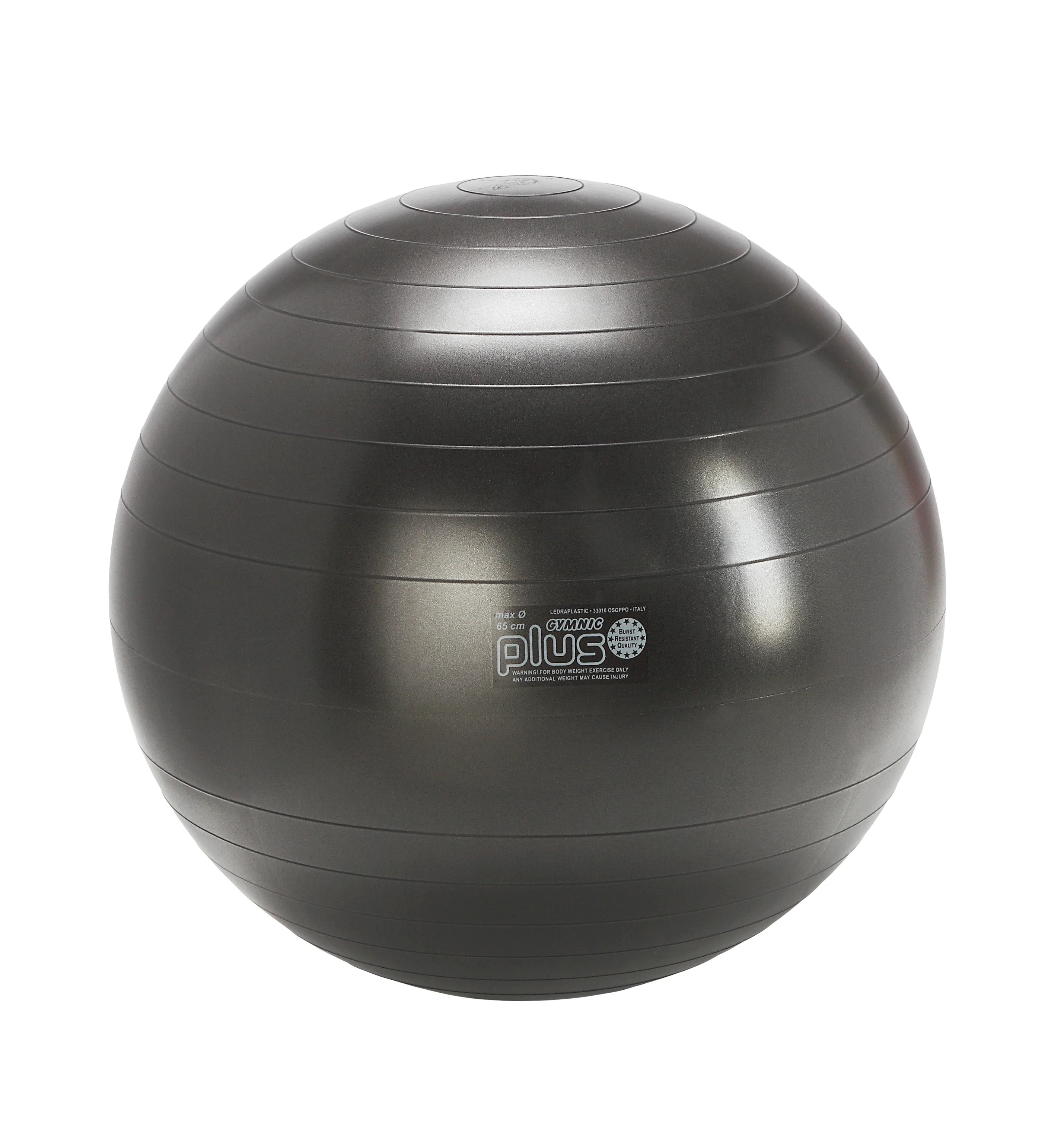 Gymnic Plus BRQ Physiotherapy Balls - Image 7