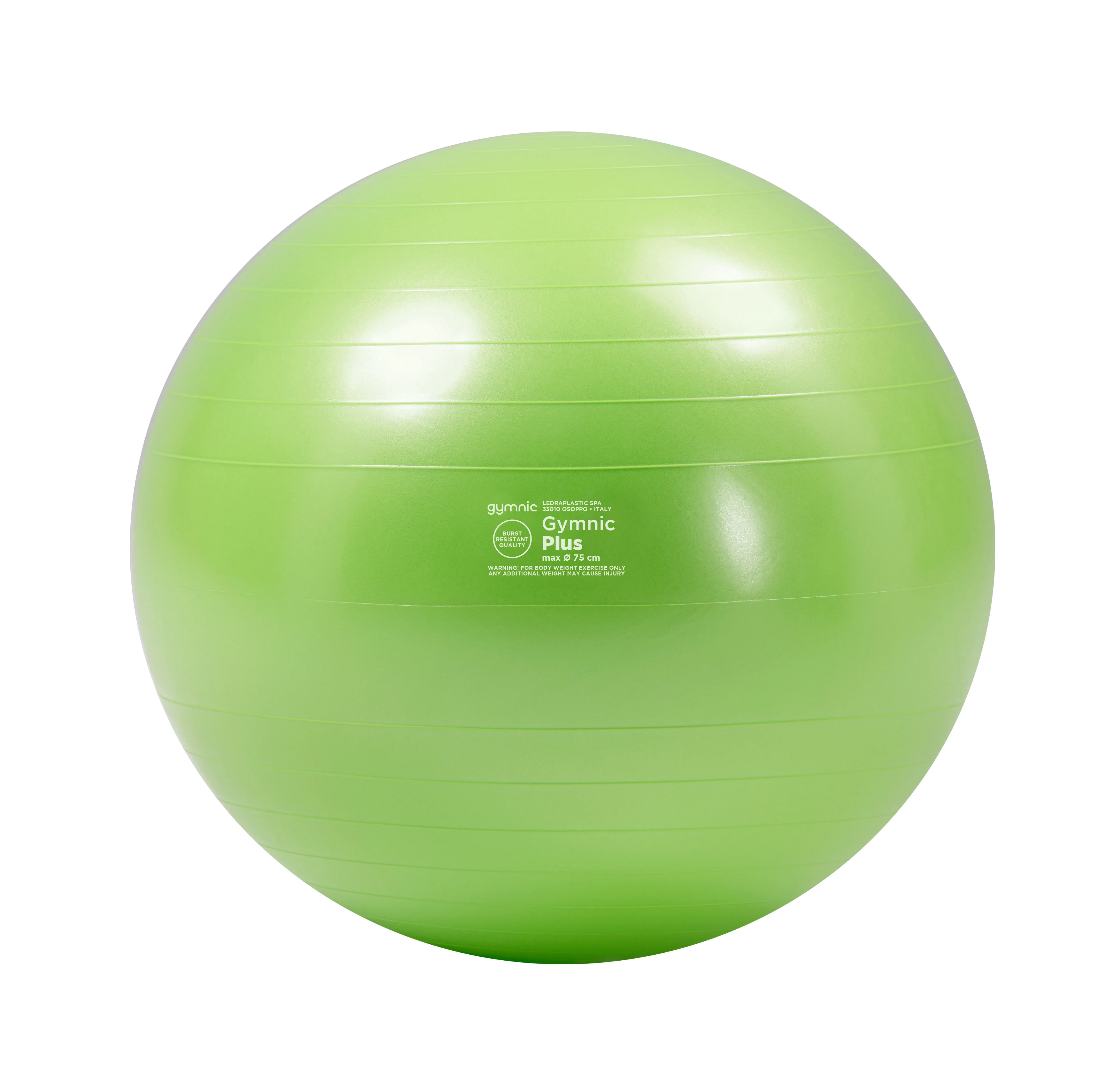 Gymnic Plus BRQ Physiotherapy Balls - Image 9