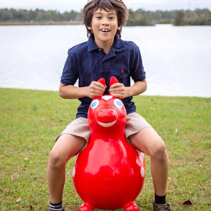 Rody MAX Inflatable Bounce Horse With Pump - Image 5
