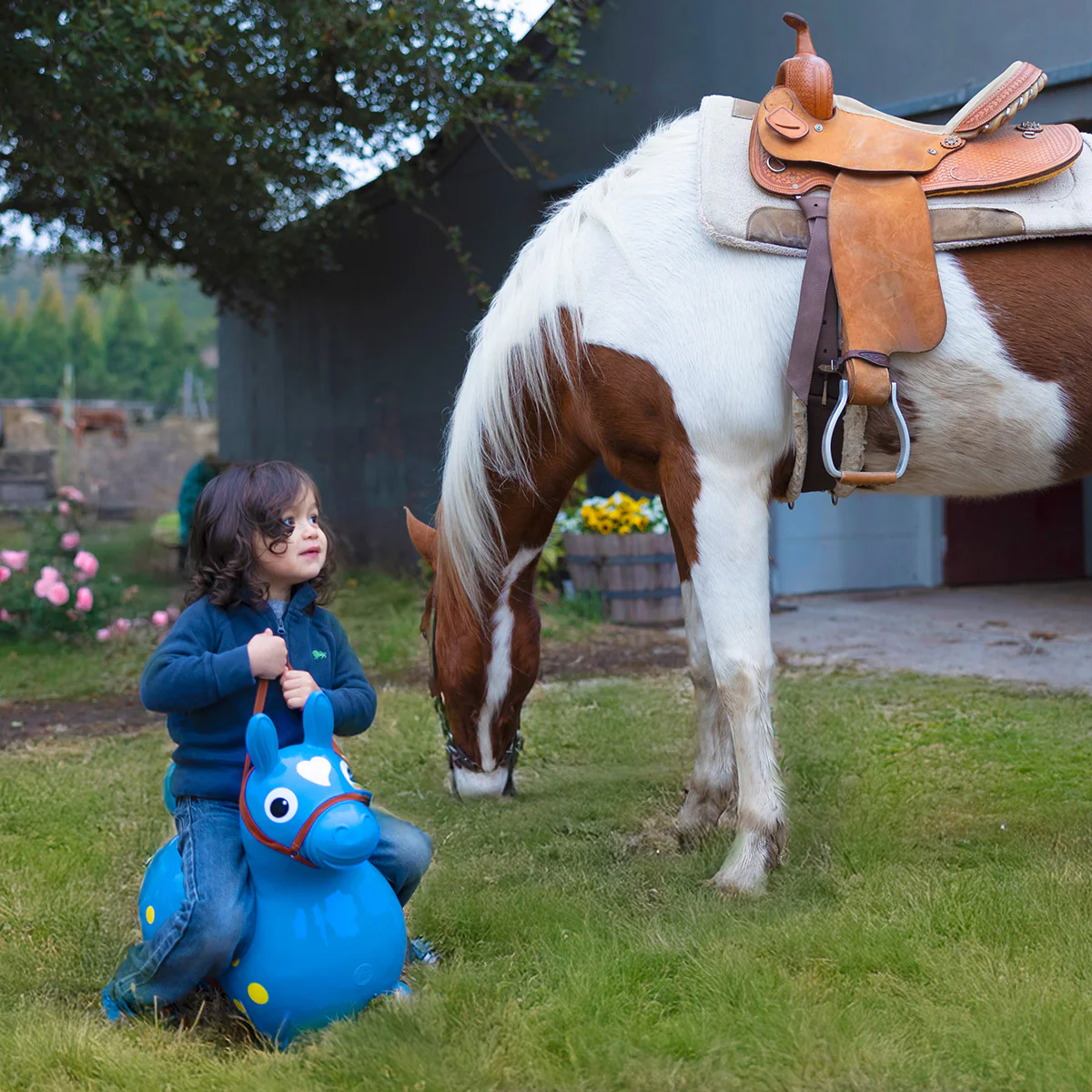 Rody Saddle & Bridle Accessory - Image 2