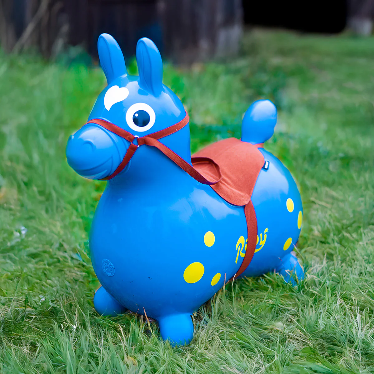 Rody Saddle & Bridle Accessory - Image 4