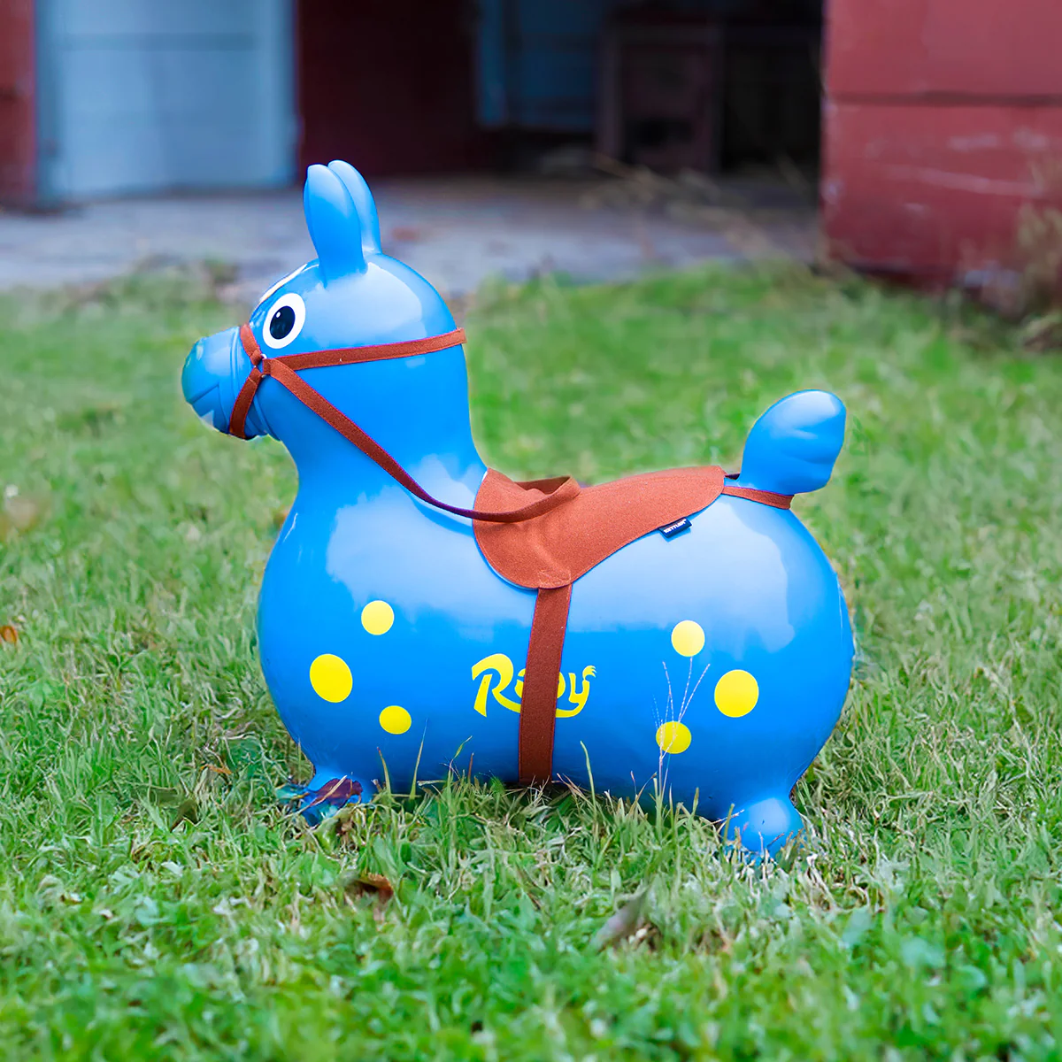 Rody with Speedy Base and Saddle - Image 7