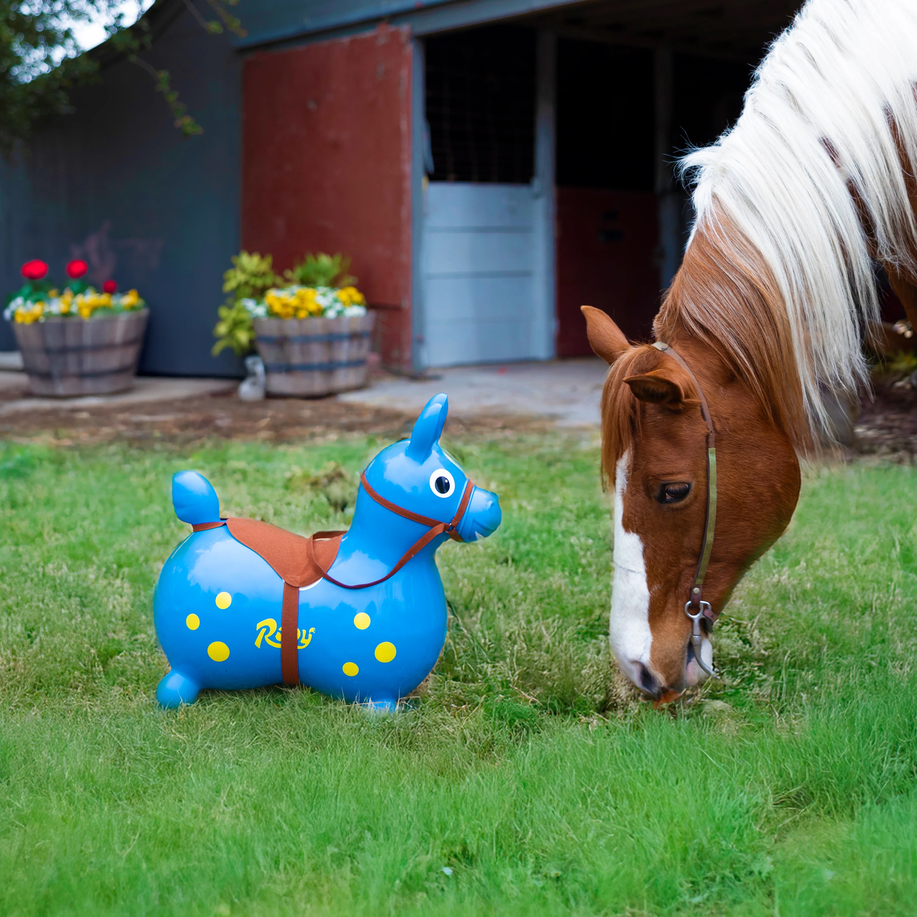 Rody with Speedy Base and Saddle - Image 8