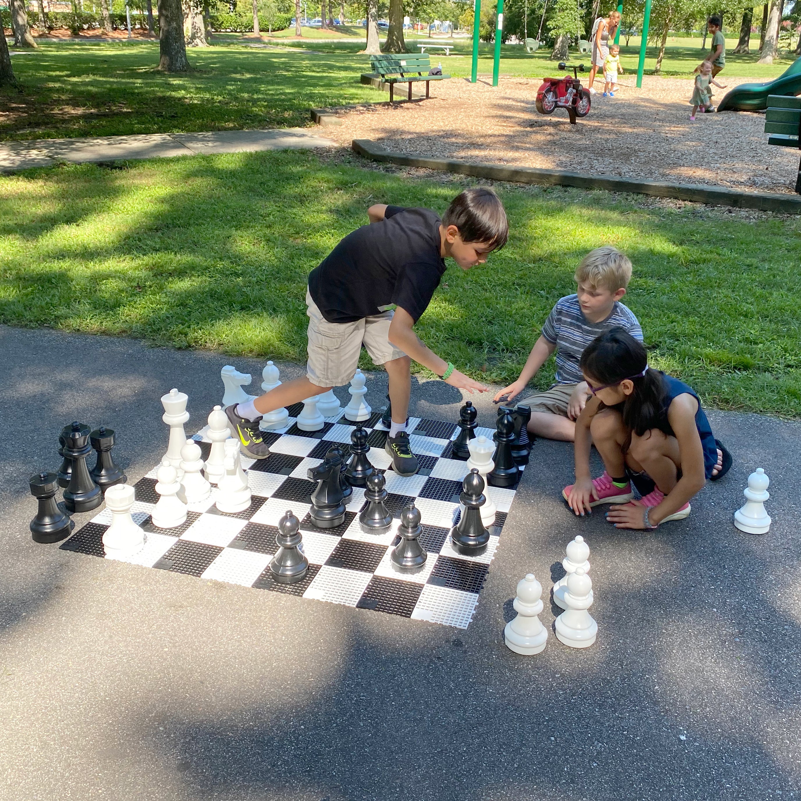 Mini-Giant Chess Pieces - Image 8