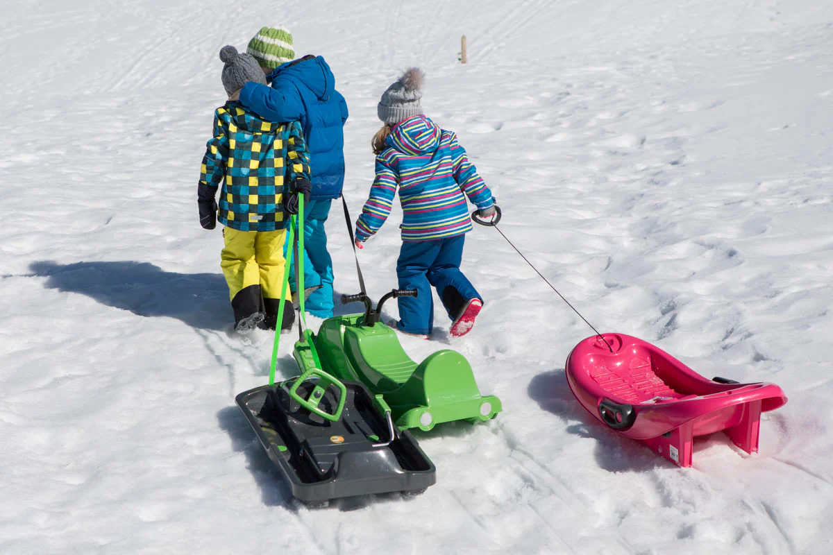 Snow Fox Sled - Image 4